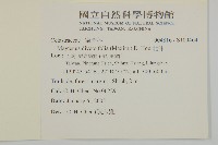 北仲, 刺裸實藏品圖，第2張