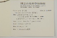 菱葉衛矛藏品圖，第2張