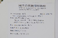 蔓雞冠、絹毛莧藏品圖，第2張