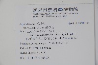 鐵冬青藏品圖，第2張