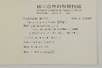 菱葉衛矛藏品圖，第2張