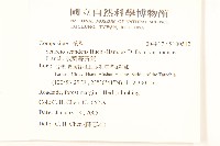 裂葉蔓黃菀藏品圖，第2張