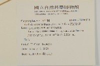 疏花繁縷藏品圖，第2張