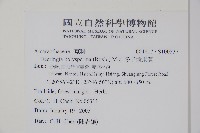 多子漿果莧藏品圖，第2張