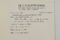 地膽草、毛蓮菜藏品圖，第2張