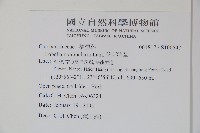 普刺特草藏品圖，第2張