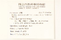 紫背草藏品圖，第2張