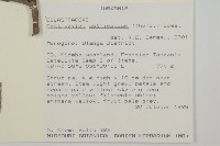 登錄號:S100561藏品圖，第2張