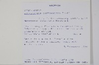 登錄號:S100590藏品圖，第2張