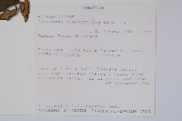 登錄號:S100593藏品圖，第2張