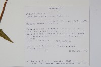 登錄號:S100597藏品圖，第2張