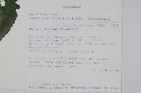 登錄號:S100603藏品圖，第2張