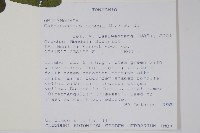 長春花藏品圖，第2張