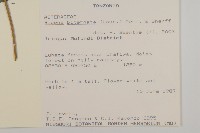 鬼針舅藏品圖，第2張