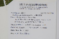 文竹藏品圖，第2張