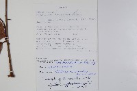 登錄號:S100724藏品圖，第2張