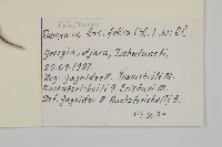 登錄號:S100728藏品圖，第2張