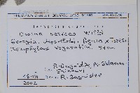 登錄號:S100762藏品圖，第2張