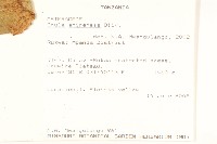 登錄號:S100774藏品圖，第2張