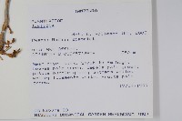 登錄號:S100797藏品圖，第2張