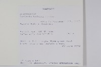 登錄號:S100799藏品圖，第2張