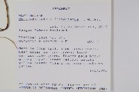 登錄號:S100804藏品圖，第2張