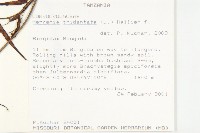 登錄號:S100828藏品圖，第2張