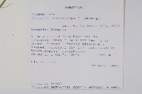 登錄號:S100840藏品圖，第2張
