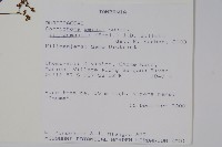 登錄號:S100865藏品圖，第2張
