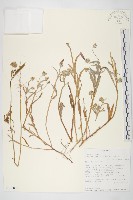 登錄號:S100879藏品圖，第1張