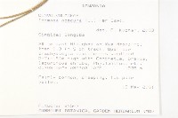 野牽牛藏品圖，第2張
