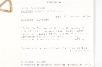甕菜、空心菜藏品圖，第2張