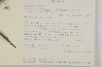登錄號:S100894藏品圖，第2張