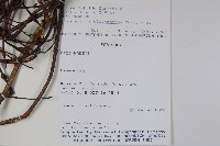 登錄號:S100954藏品圖，第2張