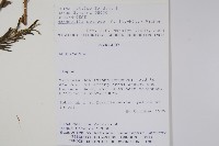 登錄號:S100968藏品圖，第2張
