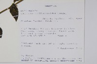 登錄號:S100998藏品圖，第2張