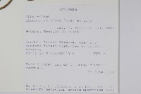 黑眼花藏品圖，第2張