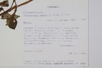 登錄號:S101035藏品圖，第2張