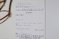 登錄號:S101053藏品圖，第2張