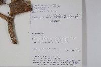 登錄號:S101054藏品圖，第2張