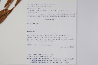 登錄號:S101058藏品圖，第2張