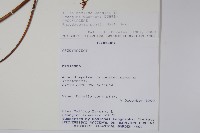 登錄號:S101059藏品圖，第2張