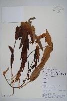 登錄號:S101059藏品圖，第3張