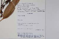 登錄號:S101059藏品圖，第4張