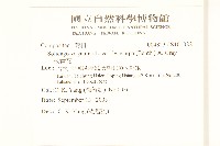 一枝黃花藏品圖，第2張