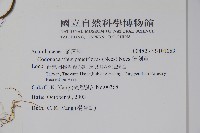 針刺草藏品圖，第2張