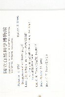 黃心柿藏品圖，第2張