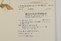 疏花繁縷藏品圖，第2張