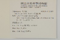 光果南蛇藤藏品圖，第2張