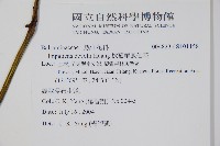 棣慕華鳳仙花藏品圖，第2張